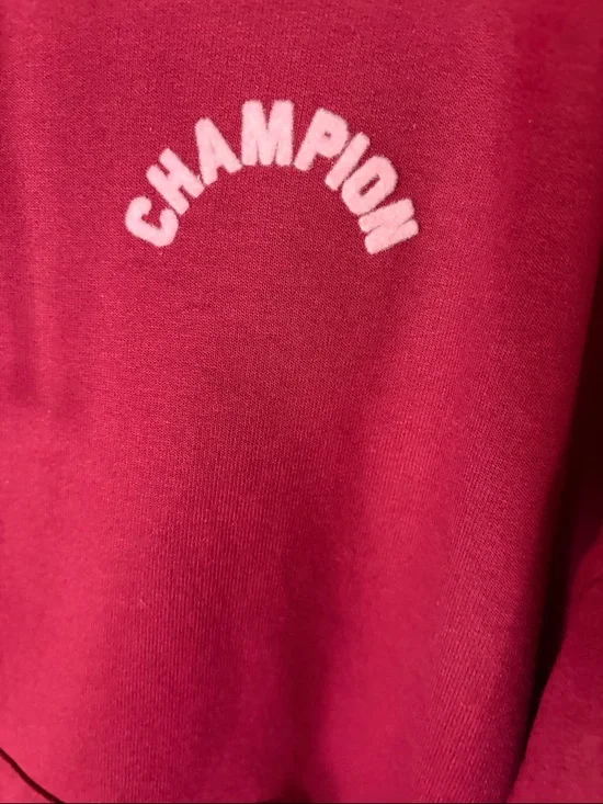 Champion Cardinal Red Pullover Hoodie with Small Logo - Picture 4 of 7